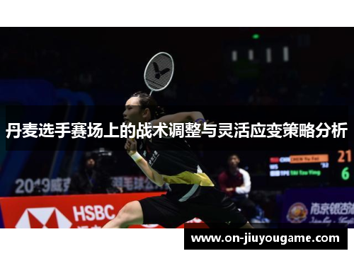丹麦选手赛场上的战术调整与灵活应变策略分析